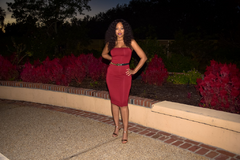 Ladies First Strapless Tube Dress in Wine