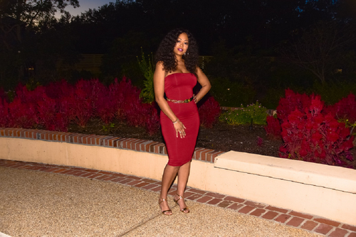 Ladies First Strapless Tube Dress in Wine