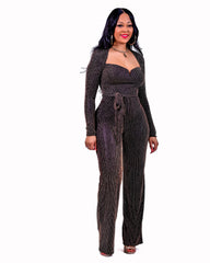 Celebrate Jumpsuit