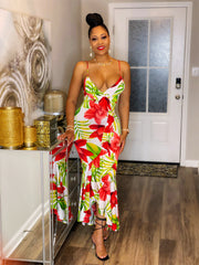 Hermosa Dress